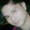nelcris polinar