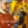 Bruno Pacheco