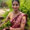 Mini Kuriakose