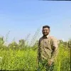 DHANESH DESHMUKH