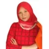 Fristi Andina
