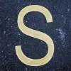 Saranya