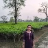 POMPI MONI DEWRI