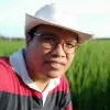roy bangun