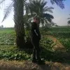 Reza Jalilzadeh