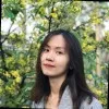 Ly Hoang