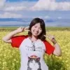 Jie Yang