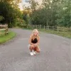 Macy Kotulka