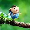 Tan kwee lih