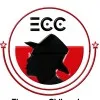Ecc Branding Academy