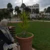 Hanan Ayad