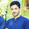 Hamid mirza