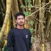 Sibin