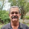 Wynand Viljoen