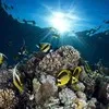 Darna divers Village