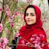 Sara Soltanmohammadi