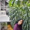 Uma Pranavi Kompalli