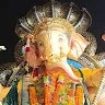 shree associates