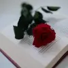 Fathima Haleema