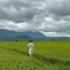 Keng Siong Lim