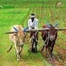 GANGA RAO