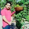 Ravinder kumar