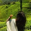 Mallavaram Gowri Priya Reddy