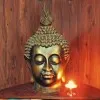 yogamaster shyam