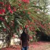 RAVINA CHALAKH