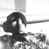 Utibe Ima