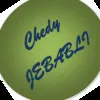 Mohamed Chedy JEBABLI