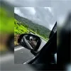 Tamseen Siddique