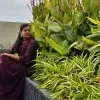 Saichaitanya Pothula