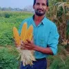Gowri Shankar