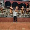 Akashdip Girase