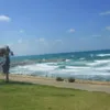 Shira Finkel