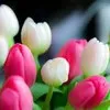 Priya
