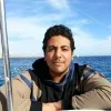 Mahmoud Wahba