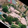 Brenden Taylor