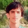 Naveed Dinar