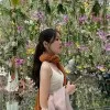 Ayaka Kikuchi