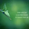 M Gowri