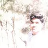 mohammad haidari