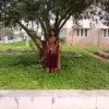 Sreeja