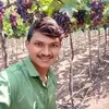 Amol Bhor
