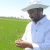 B Ravikumar