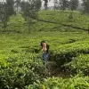 Dipti