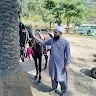 Ajaz Saiyad