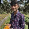 Dipak Zala