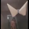 Mansi Prasad